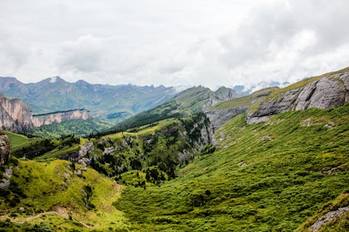 Foto d'estoc gratuïta de a l'aire lliure, camp d'herba, cel blanc