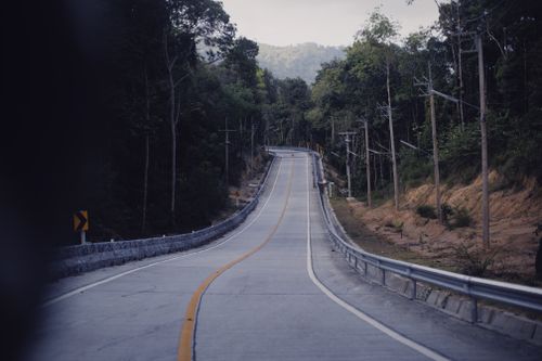 Free A long, empty road winds through a dense forest, ideal for travel and adventure themes. Stock Photo