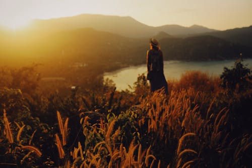 Person Standing on Brown Grass Field