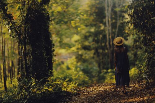 Free A girl in a straw hat strolls through a serene forest path surrounded by vibrant greenery. Stock Photo