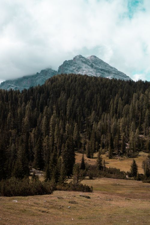 Free Tranquil view of a forested mountain under a cloudy sky, perfect for nature enthusiasts. Stock Photo