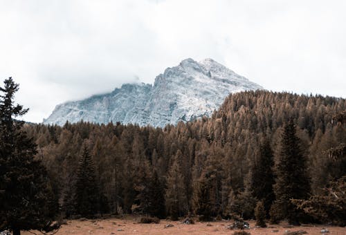 無料 壁紙, 山脈, 山頂の無料の写真素材 写真素材