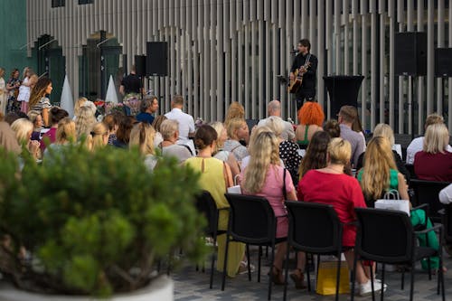 Free stock photo of acoustic guitar, concert, live concert