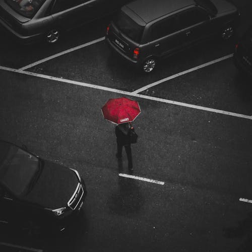 Free Person Holding Red Umbrella Walking on Street Stock Photo