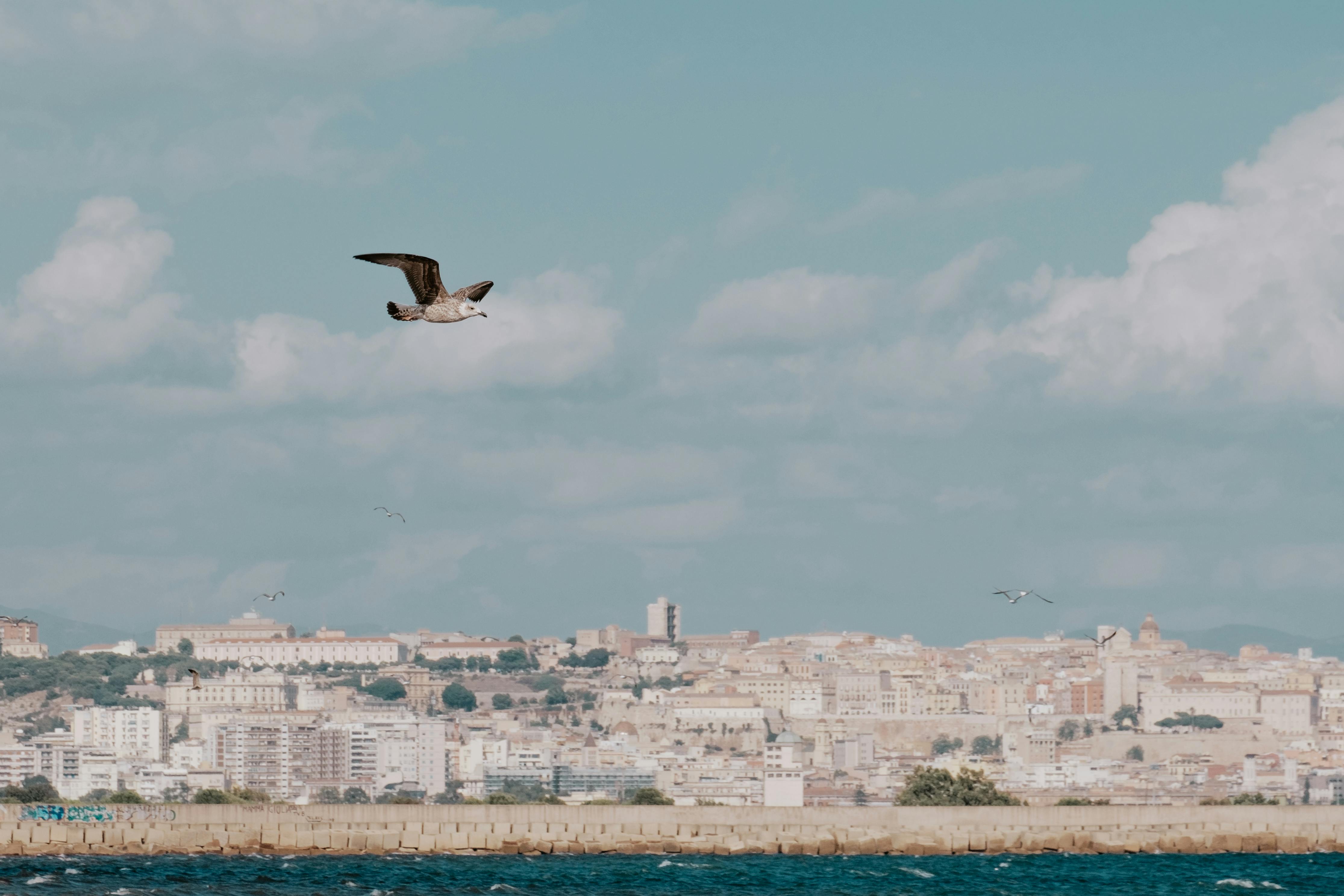 Tarifa