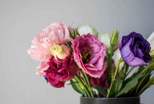 Gratis Fotos de stock gratuitas de arreglo floral, bonito, de cerca Foto de stock