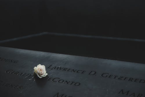 A Rose Flower over Memorial marker