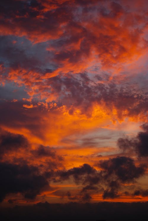 Orange and Gray Clouds in the Sky