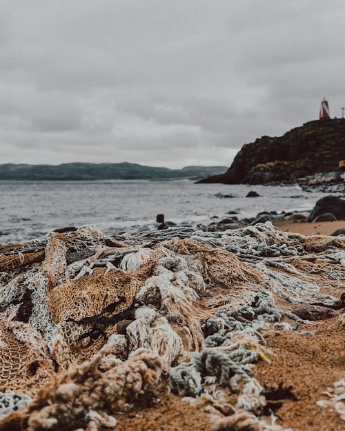 Photos gratuites de couvert, filets de pêche, mer