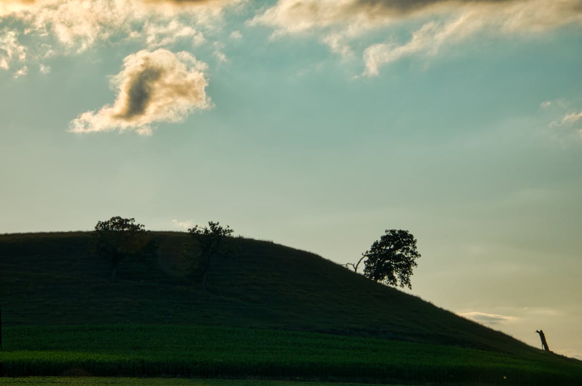 A Hill With Green Grass Under White Clouds 