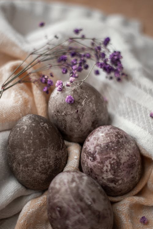 Foto profissional grátis de flores, ovos pintados, páscoa