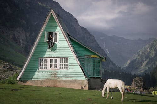 Wooden House on a Meadow 