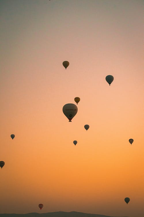 Hot Air Balloons in the Sky