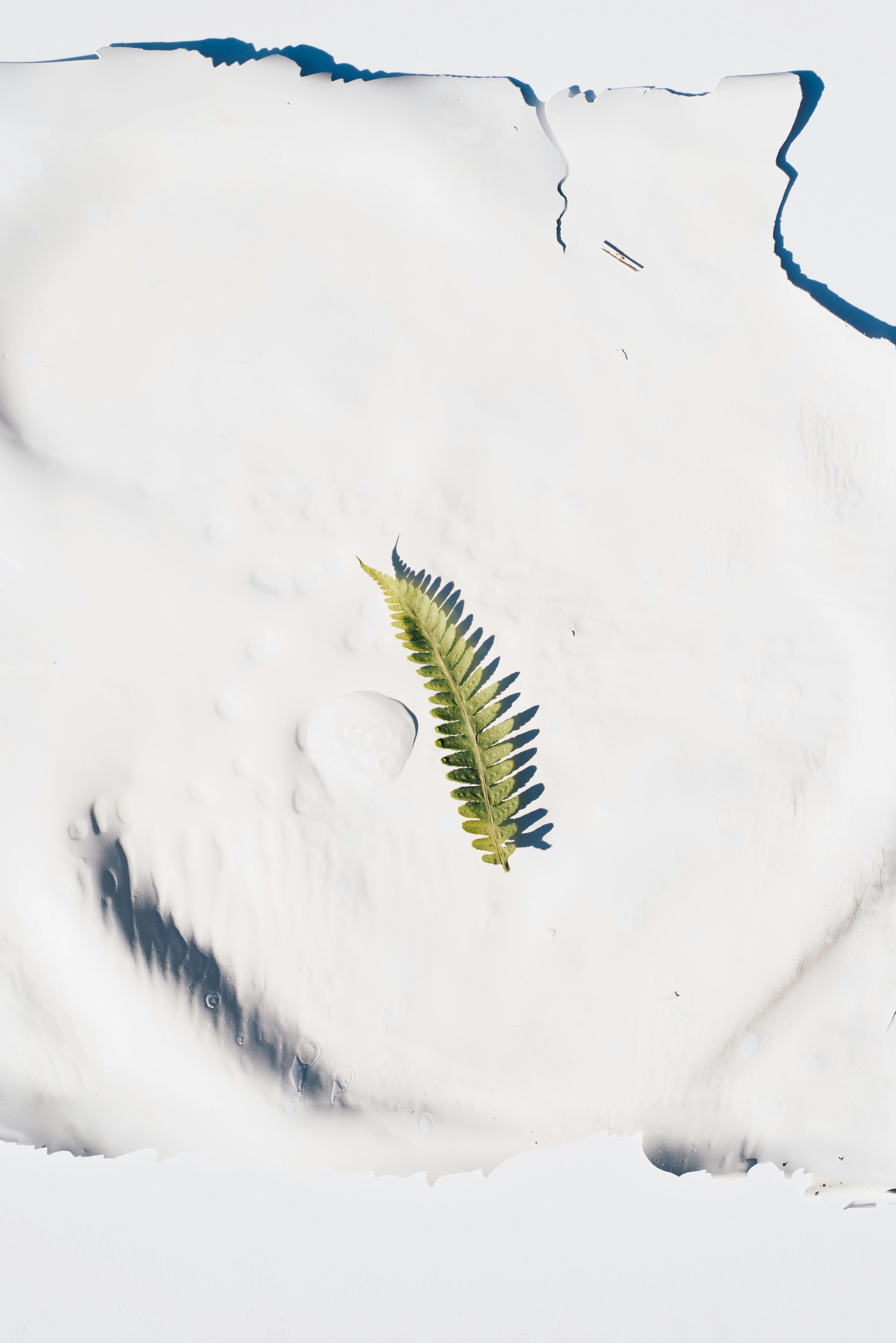 Snow Day Calculator For Tomorrow Photos, Download The BEST Free Snow Day Calculator For Tomorrow