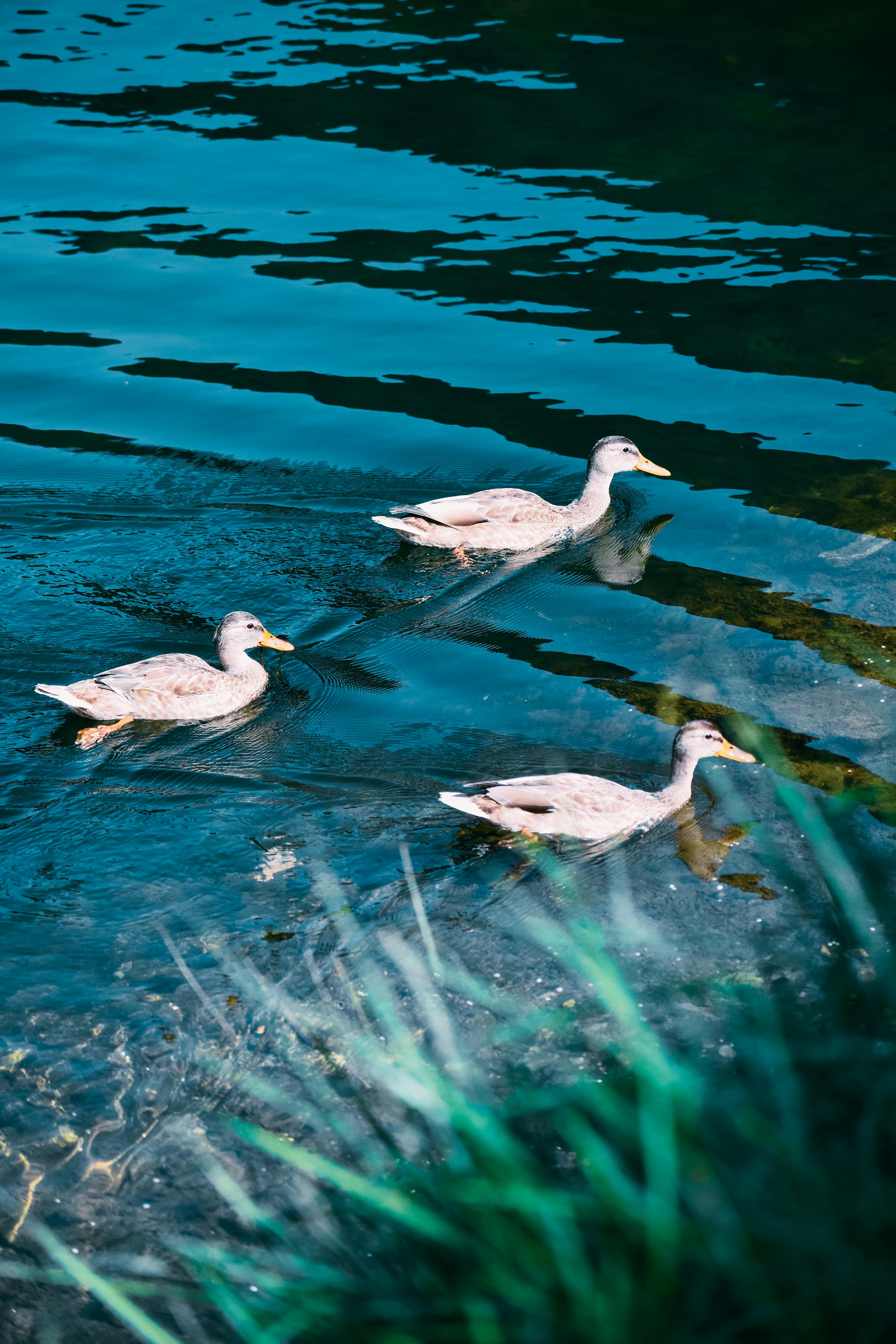 Seasonal Home Maintenance Tips for Indiana Homeowners