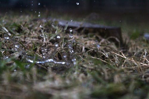 Free stock photo of rain drops