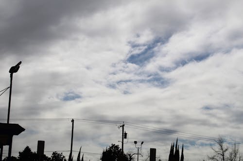 Free stock photo of cloudy sky