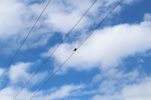 Free stock photo of cloudy sky