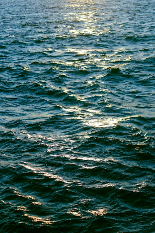 Darmowe zdjęcie z galerii z małe fale, morze, ocean