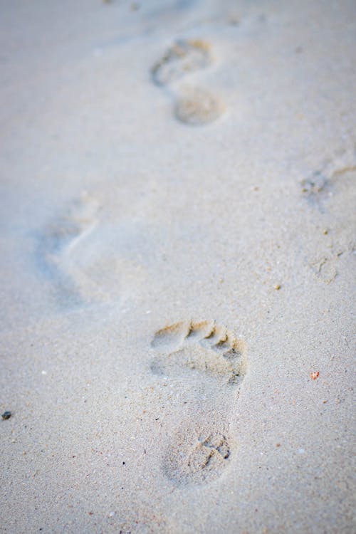Photo of Foot Print on the Seashore
