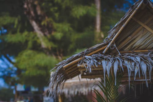 Selective Focus Photo of Brown Nipa Hut