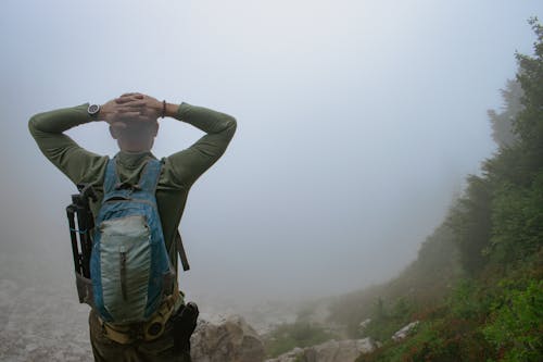 Immagine gratuita di avventura, avventura nella foresta, avventure escursionistiche