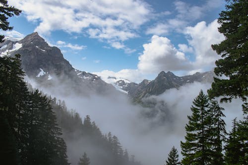 Green Trees Near Snow Covered Mountain Under White Clouds and Blue Sky