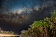 Green Trees Under Blue Sky during Night Time