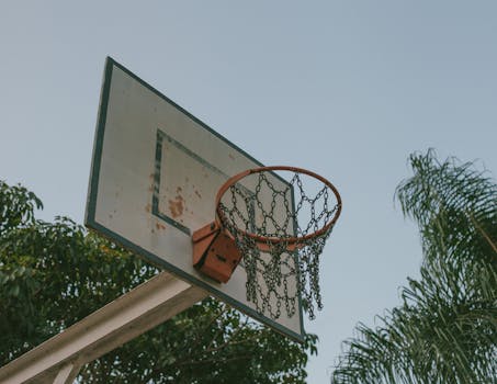 Low angle shot of a rustic basketball hoop with chain net, framed by trees and blue sky.