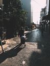 A Man Pulling a Cart on the Street