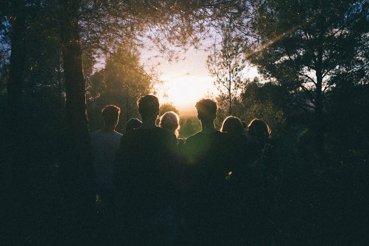 Silhouette Of Group Of People Between Tree Line