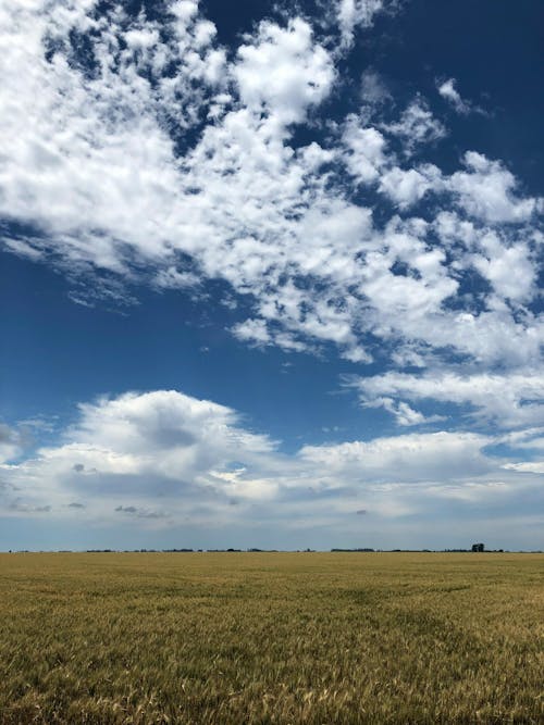 Free stock photo of argentina, clouds, field Stock Photo