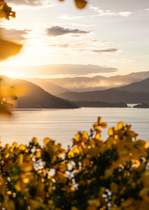 Silhouette of Mountains during Sunrise