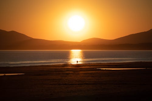 Silhouette of a Person Standing at the Beach During Sunset