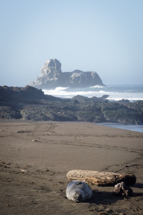 Sand Beach Prop Rocks Rocks on Sand Beach · Free Stock Photo
