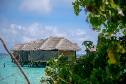 Foto profissional grátis de acima do mar, água, cabanas nipa