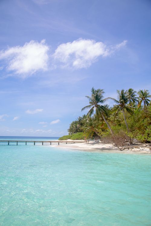 Free Serene tropical beach with clear water and palm trees under a blue sky. Stock Photo
