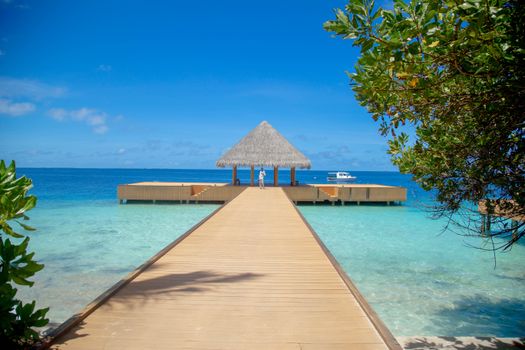 Brown Wooden Dock on Blue Sea Under Blue Sky