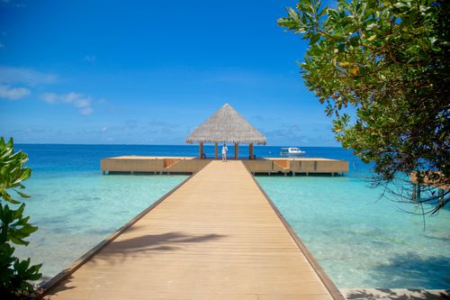 Free A stunning view of a wooden pier leading to a thatched bungalow over turquoise waters in the Maldives. Stock Photo