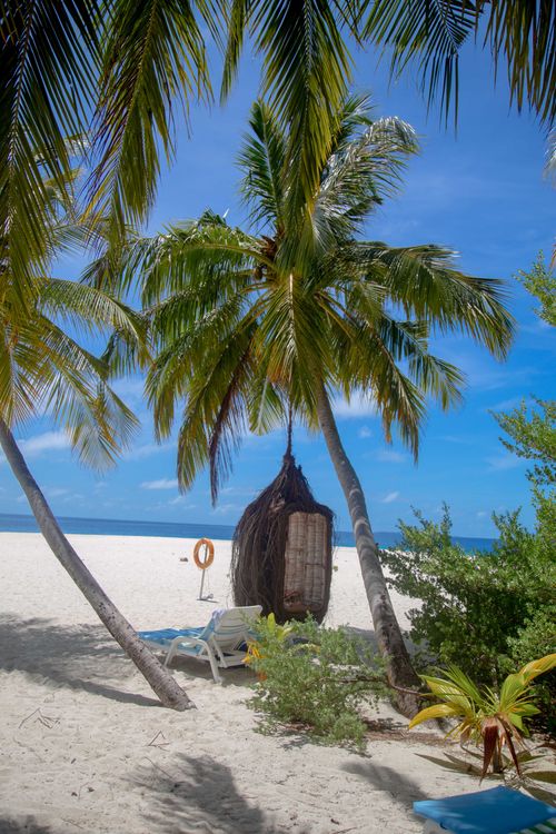 Free Serene tropical beach with coconut palms, azure sea, and white sand. Stock Photo