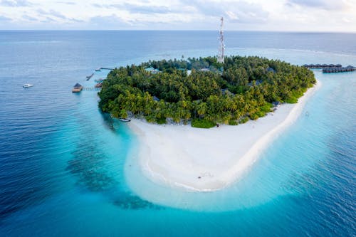 Bird's-Eye View Photograph of an Island with Green Trees