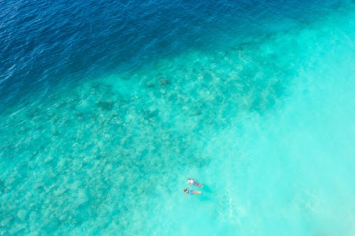 Free Aerial View of Person Riding on White and Blue Boat on Blue Sea Stock Photo