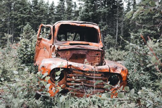 Brown and White Vintage Car on Forest