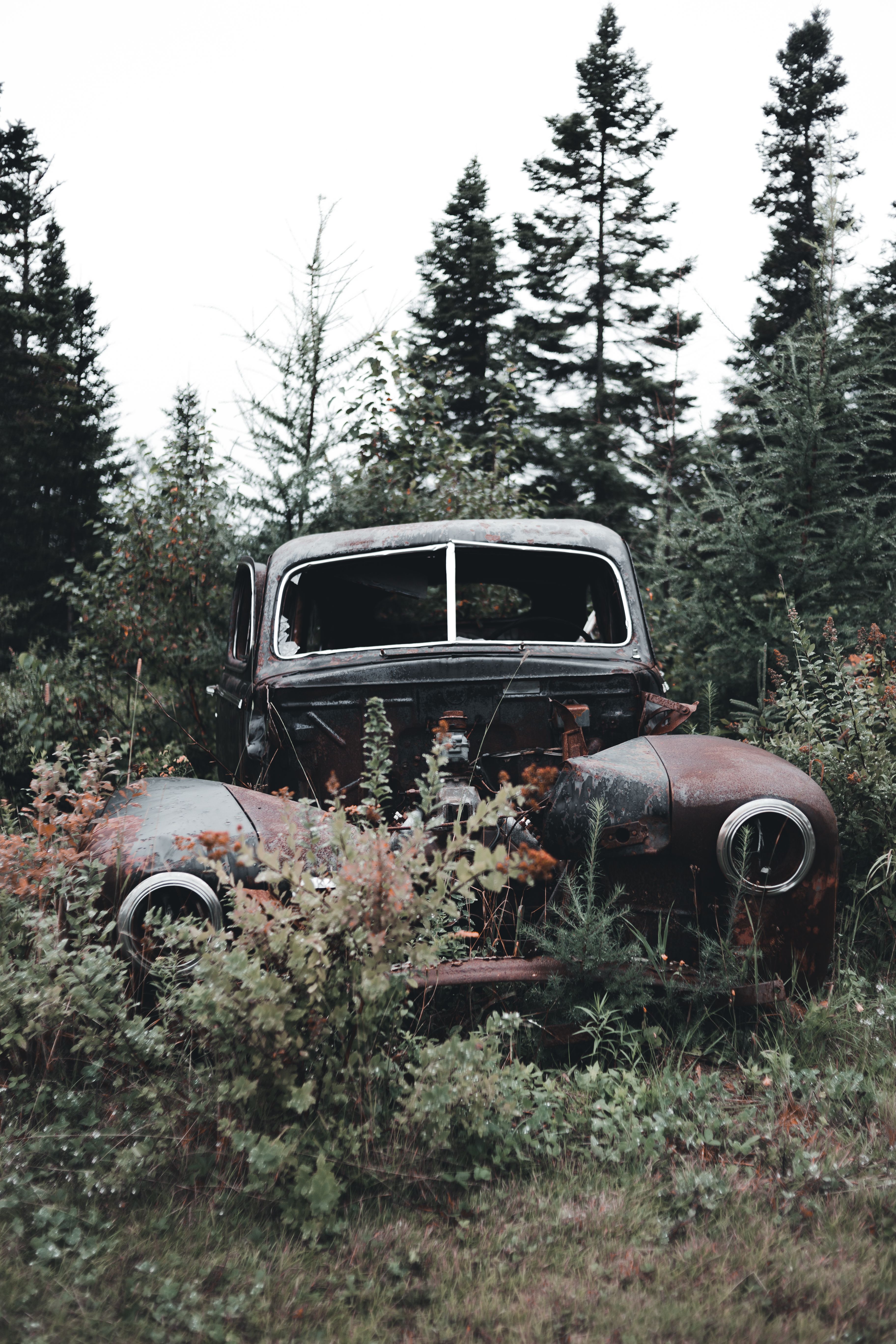 Broken Vehicle on Grass Field Near Trees · Free Stock Photo