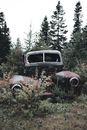 Broken Vehicle on Grass Field Near Trees