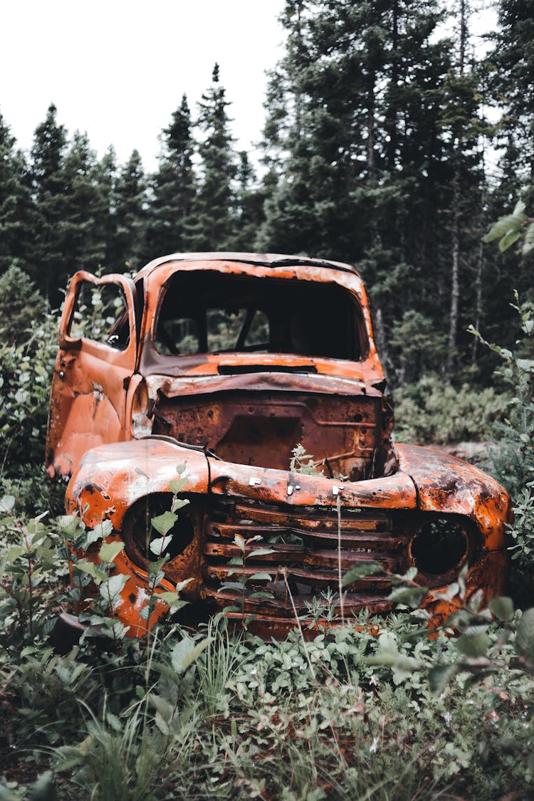 Abandoned Car In A Forest