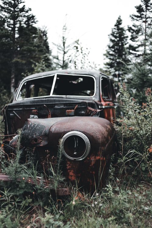 Free A vintage rusty car abandoned in the dense, overgrown forest, depicting decay and nature's reclaim. Stock Photo