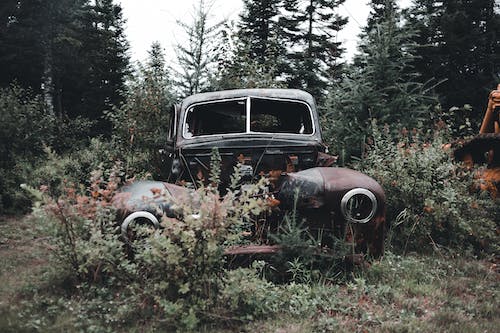 Free Abandoned Vehicle Near Trees Stock Photo