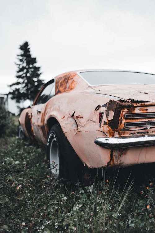 Rusty Vintage Car on Green Grass Field