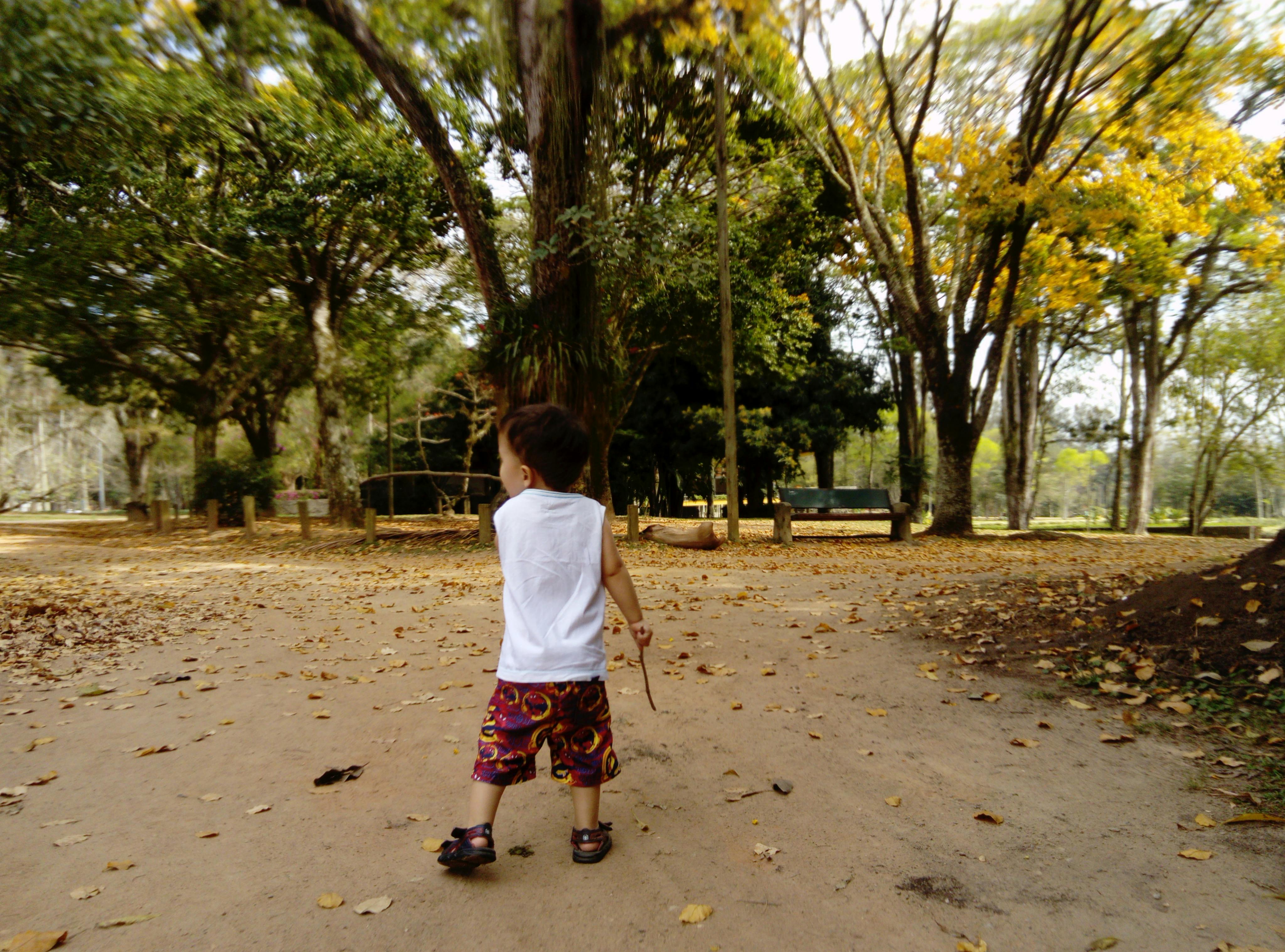 Free stock photo of child Stock Photo